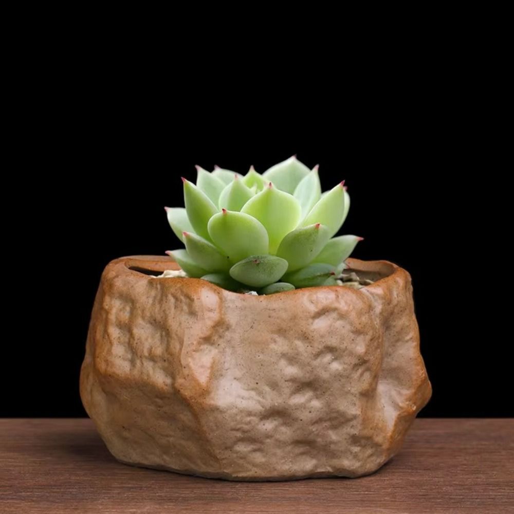 Ceramiczne doniczki na sukulen – Aloe Vera Pot recenzja i cena