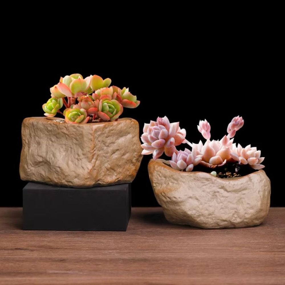 Ceramiczne doniczki na sukulen – Aloe Vera Pot recenzja i cena