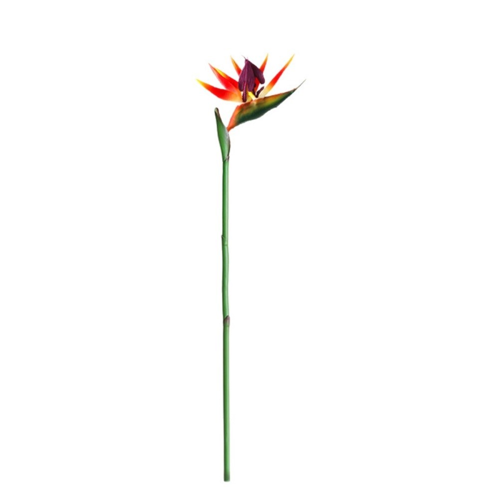 Sztuczne kwiaty Strelitzia z d – Bird Paradise Strelitzia recenzja i cena