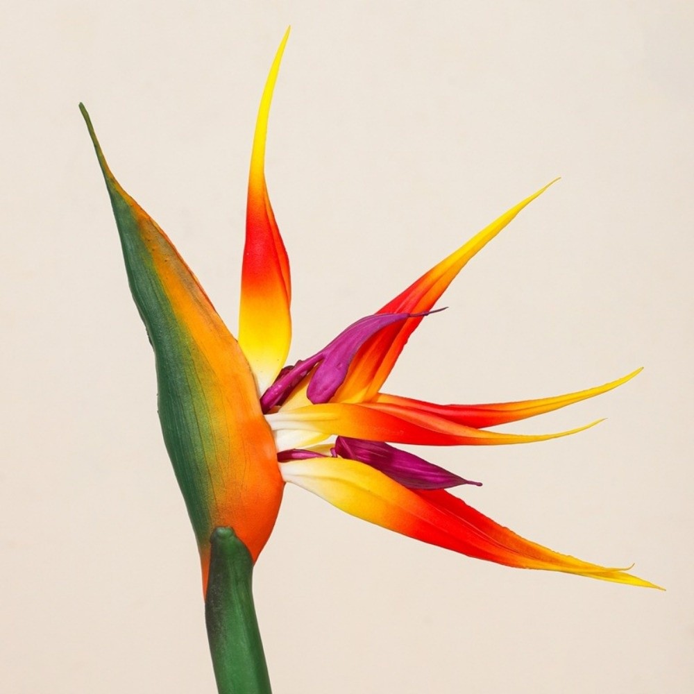 Sztuczne kwiaty Strelitzia z d – Bird Paradise Strelitzia recenzja i cena