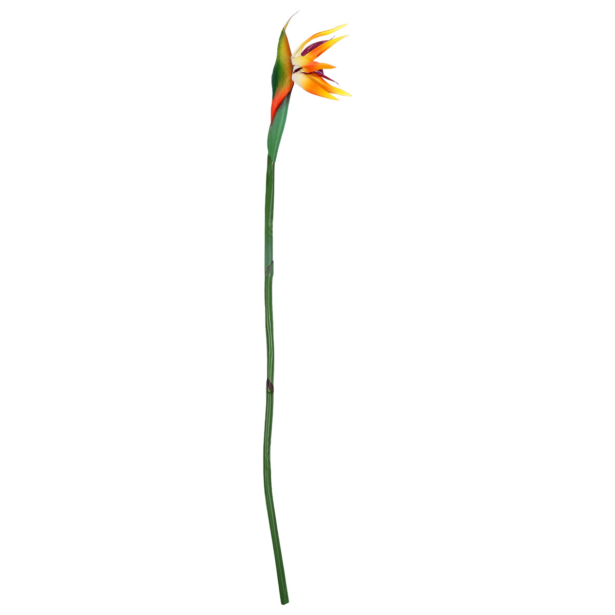 Sztuczny kwiat strelitzji o re – Bird Paradise Strelitzia recenzja i cena