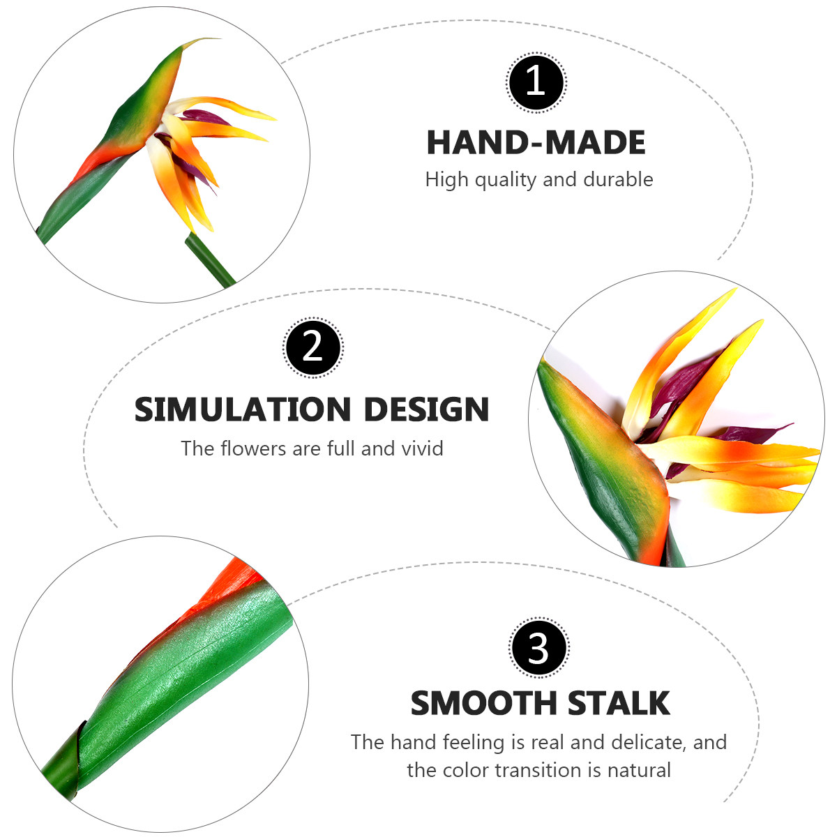 Sztuczny ptak rajski (strelitc – Bird Paradise Strelitzia recenzja i cena