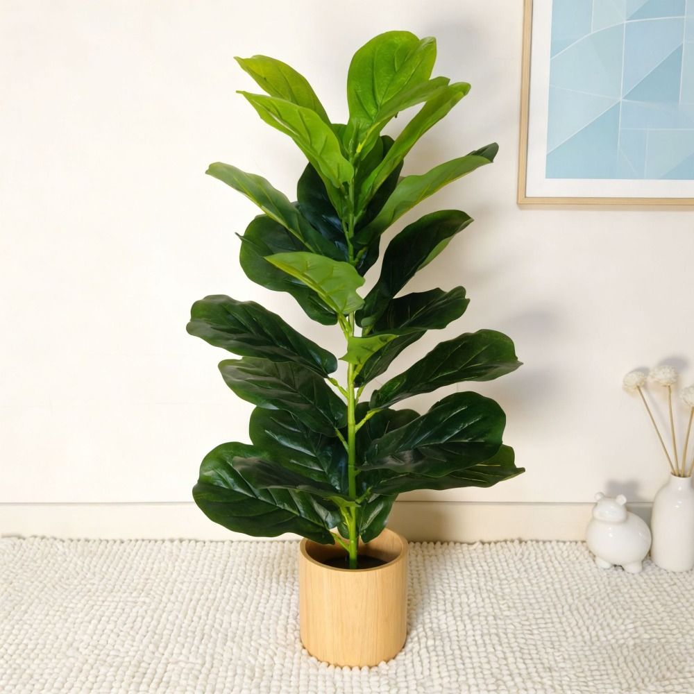 Sztuczny drzewko figowe z ziel – Dracaena Marginata recenzja i cena