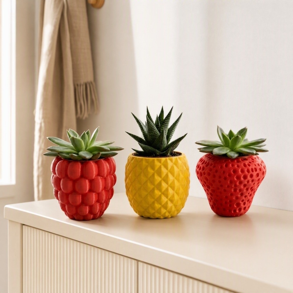 Plastikowy doniczka na owoce i – Echeveria Succulent recenzja i cena