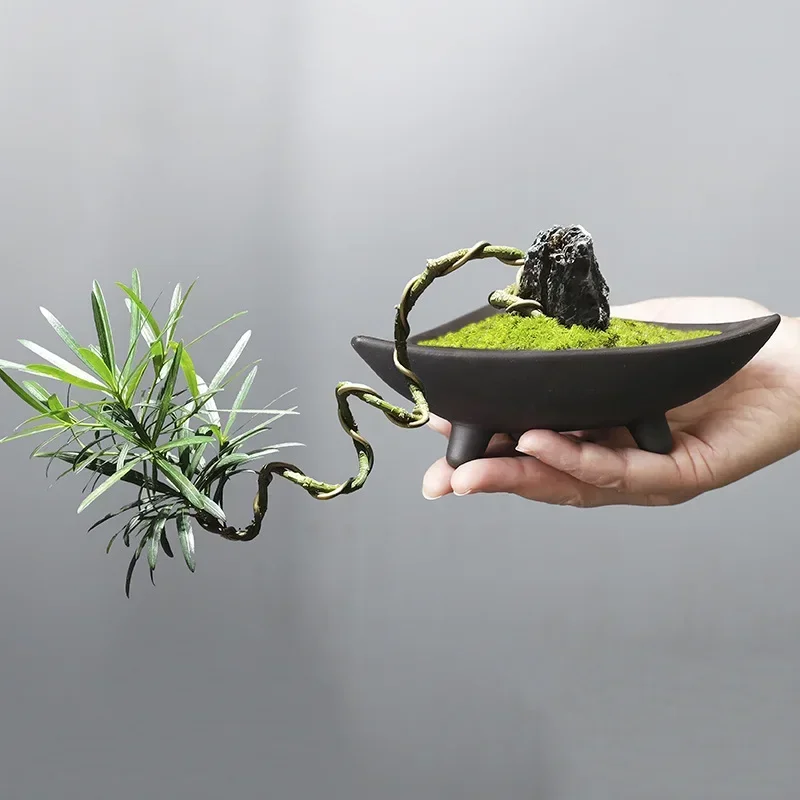 Spersonalizowane ceramiczne do – Aloe Vera Pot recenzja i cena