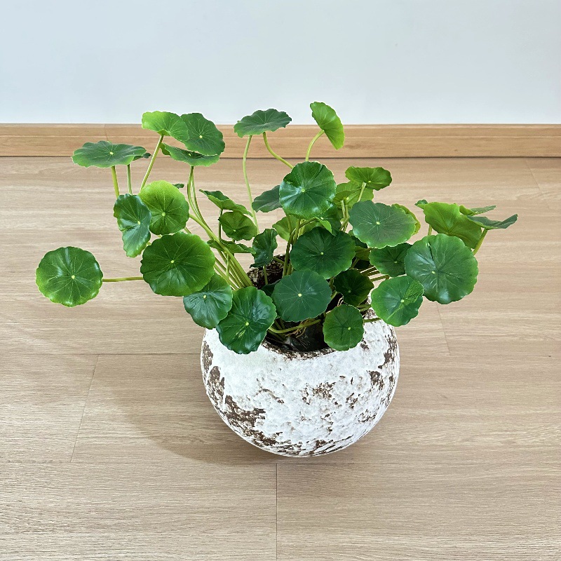 2 szt. Sztuczna Pilea Peperomi – Pilea Peperomioides recenzja i cena