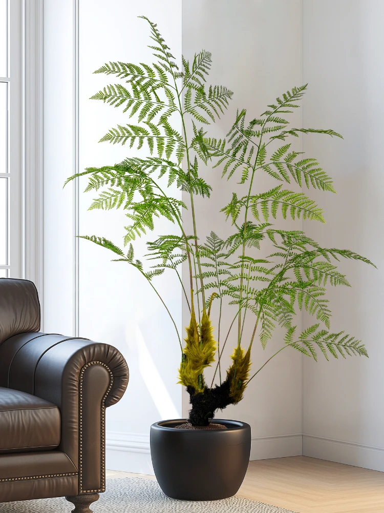 Duża symulowana złota małpa pa – Dracaena Marginata recenzja i cena