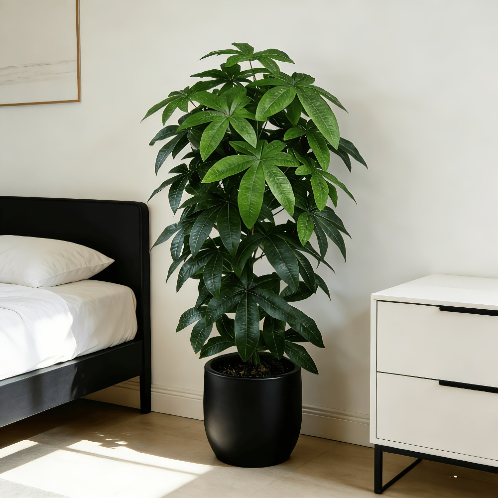 Sztuczna drzewka szczęścia Pac – Dracaena Marginata recenzja i cena